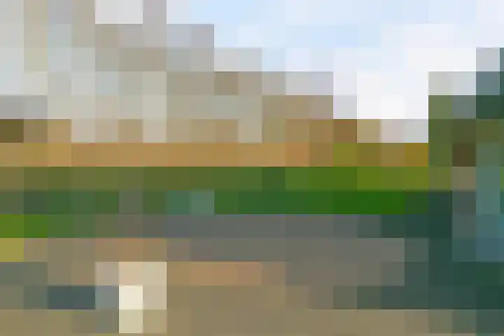 Het Helmhout 35 a Drachten thumbnail 36
