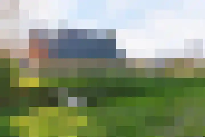 Het Helmhout 35 a Drachten thumbnail 37