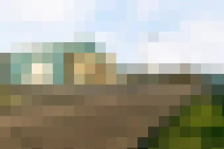 Het Helmhout 35 a Drachten thumbnail 39