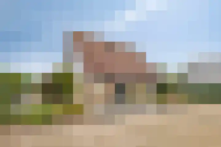 Het Helmhout 53 a Drachten thumbnail 42