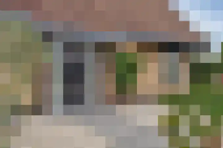 Het Helmhout 53 a Drachten thumbnail 45