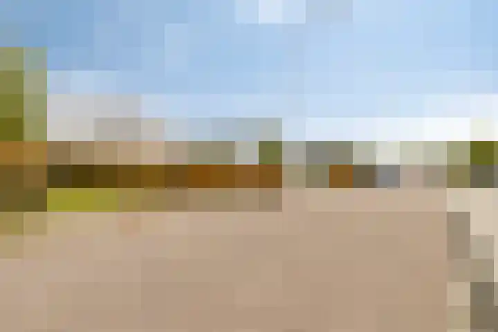 Het Helmhout 53 a Drachten thumbnail 6