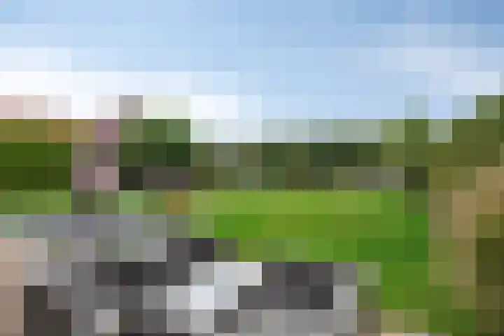 Het Helmhout 53 a Drachten thumbnail 76