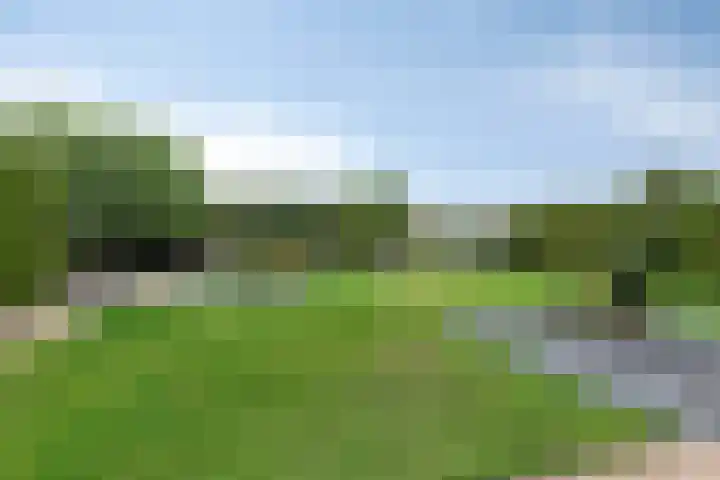 Het Helmhout 53 a Drachten thumbnail 77