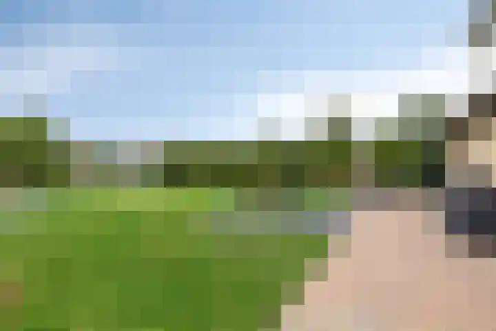 Het Helmhout 53 a Drachten thumbnail 78