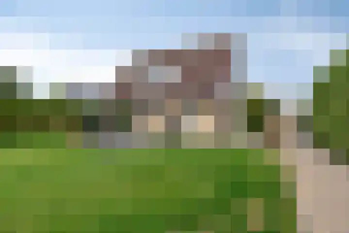 Het Helmhout 53 a Drachten thumbnail 79