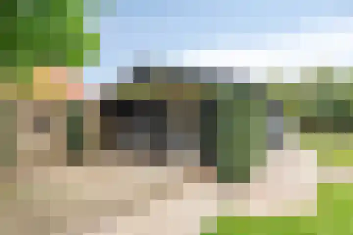 Het Helmhout 53 a Drachten thumbnail 80