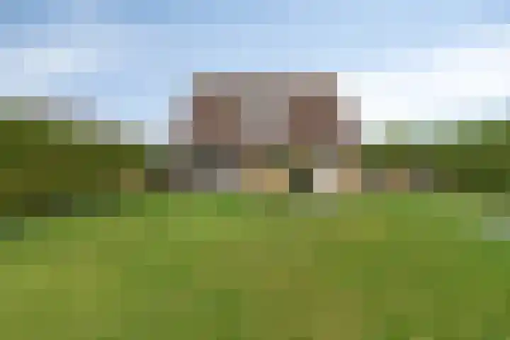 Het Helmhout 53 a Drachten thumbnail 83