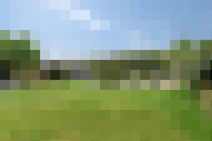 Het Helmhout 53 a Drachten thumbnail 84
