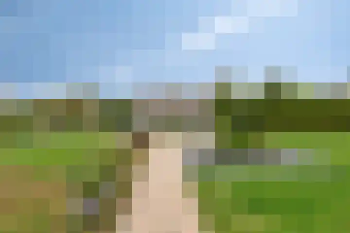 Het Helmhout 53 a Drachten thumbnail 85