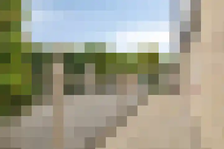 Het Helmhout 53 a Drachten thumbnail 88