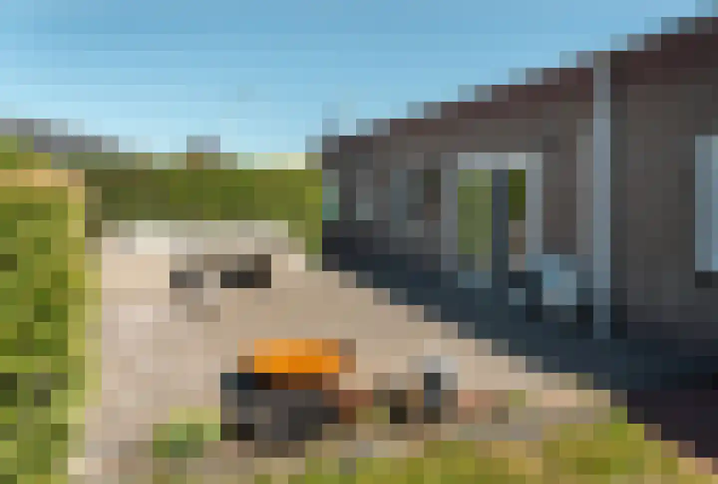Het Helmhout 73 Drachten thumbnail 21