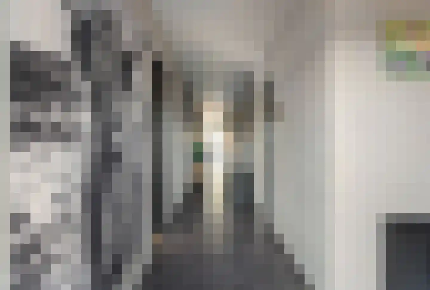 Het Helmhout 73 Drachten thumbnail 9