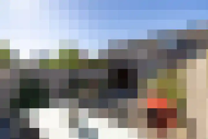 Het Hennennest 11 Doetinchem thumbnail 14