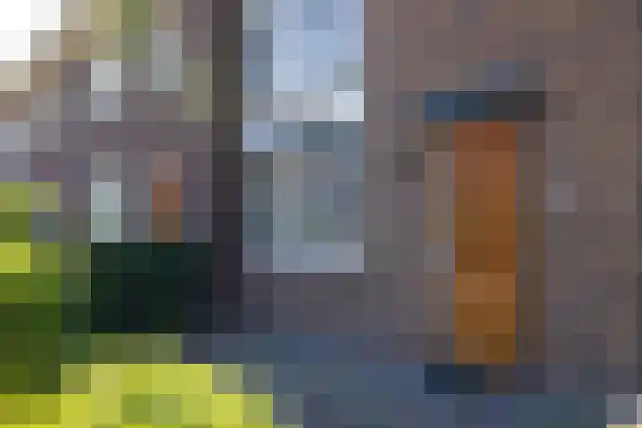 Het Hennennest 11 Doetinchem thumbnail 19