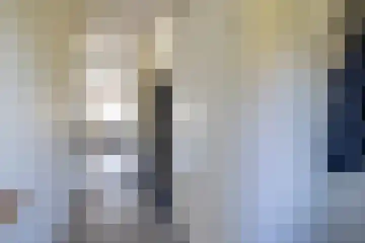 Het Hennennest 11 Doetinchem thumbnail 21