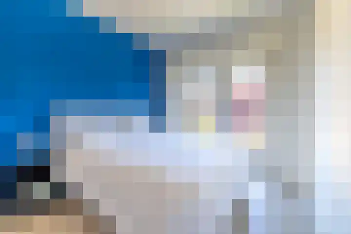 Het Hennennest 11 Doetinchem thumbnail 23