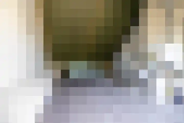 Het Hennennest 11 Doetinchem thumbnail 33