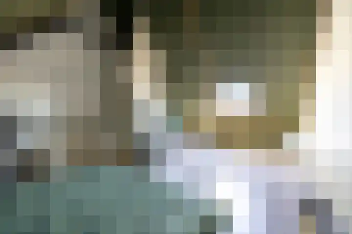 Het Hennennest 11 Doetinchem thumbnail 34
