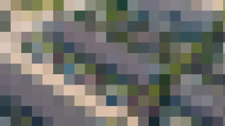 Het Hennennest 11 Doetinchem thumbnail 40