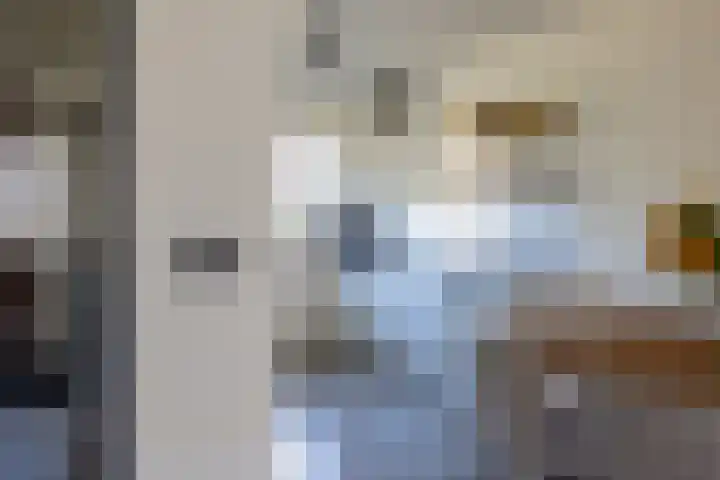 Het Hennennest 11 Doetinchem thumbnail 7