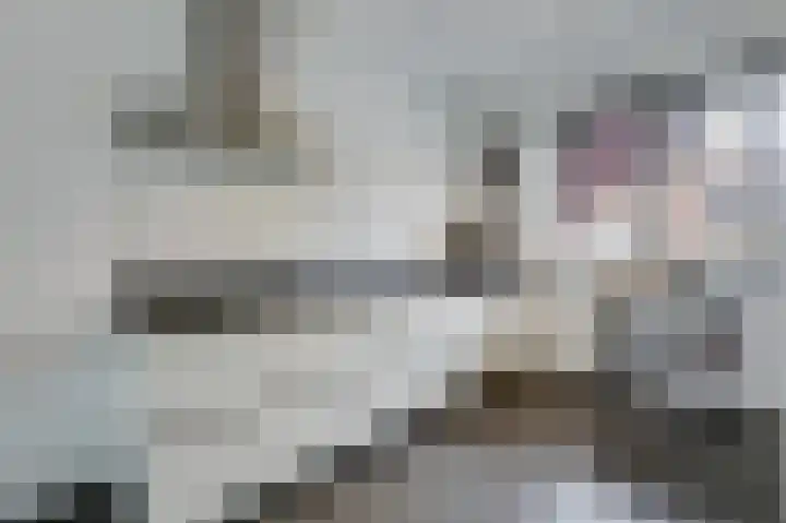 Het Hennennest 27 Doetinchem thumbnail 12