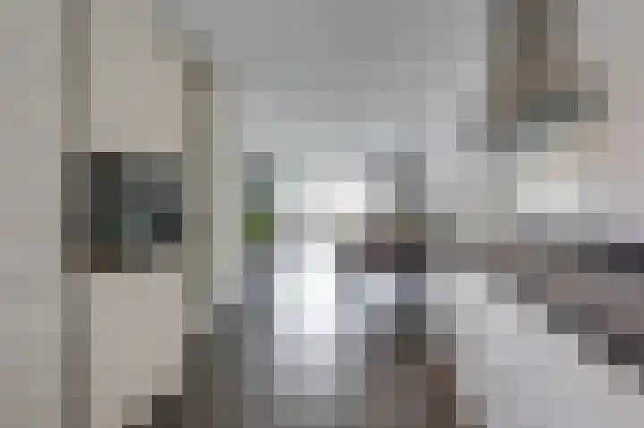 Het Hennennest 27 Doetinchem thumbnail 13