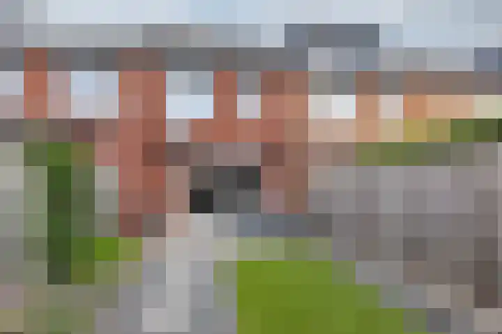 Het Hennennest 27 Doetinchem thumbnail 20
