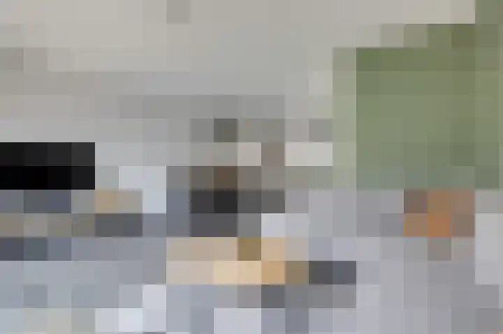 Het Hennennest 27 Doetinchem thumbnail 22