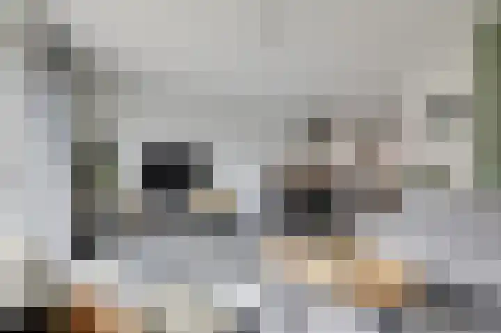 Het Hennennest 27 Doetinchem thumbnail 23
