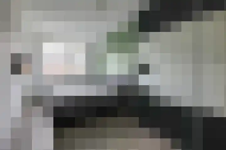 Het Hennennest 27 Doetinchem thumbnail 30