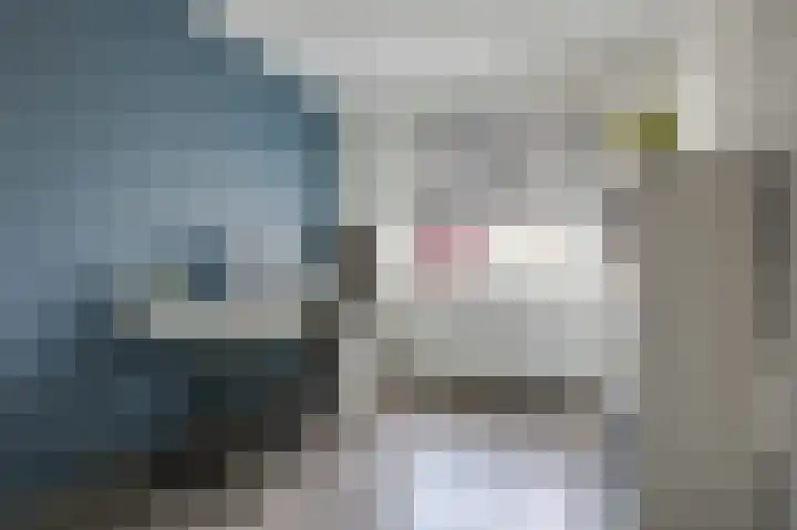 Het Hennennest 27 Doetinchem thumbnail 32