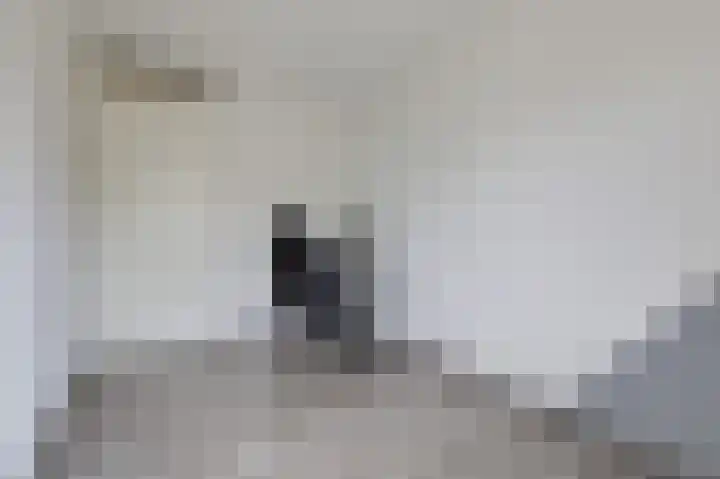 Het Hennennest 27 Doetinchem thumbnail 35