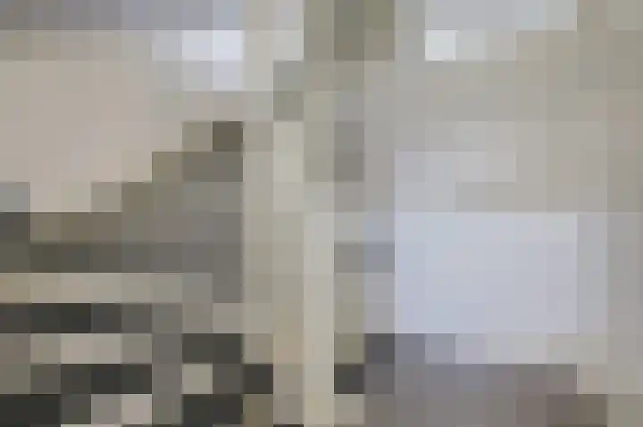 Het Hennennest 27 Doetinchem thumbnail 41