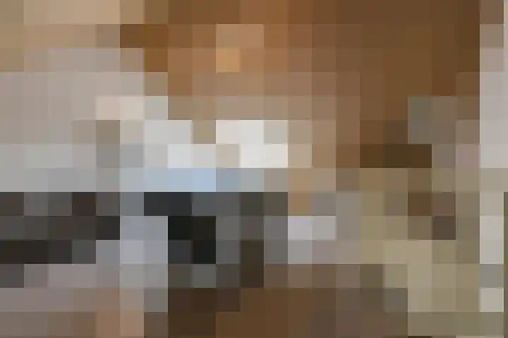 Het Hennennest 27 Doetinchem thumbnail 42