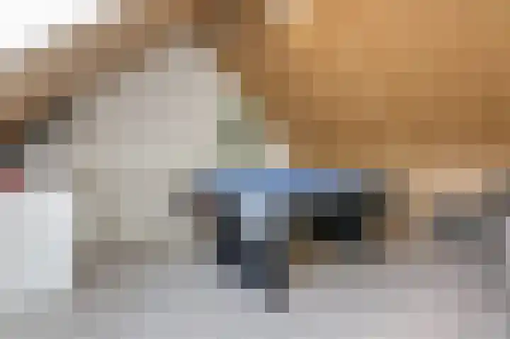Het Hennennest 27 Doetinchem thumbnail 44