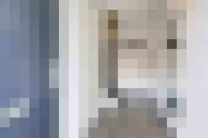 Het Hennennest 27 Doetinchem thumbnail 6