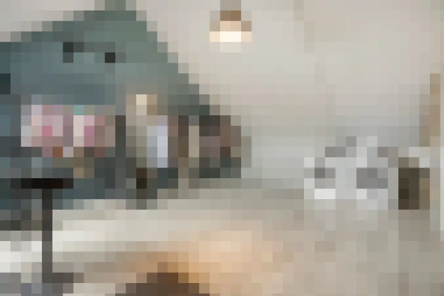Het Hennennest 43 Doetinchem thumbnail 27
