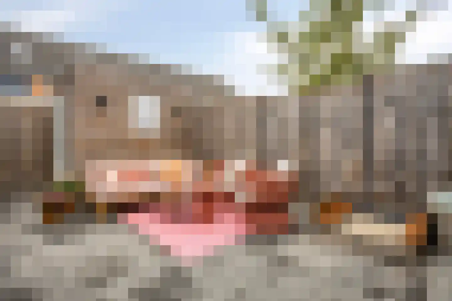 Het Hennennest 43 Doetinchem thumbnail 29