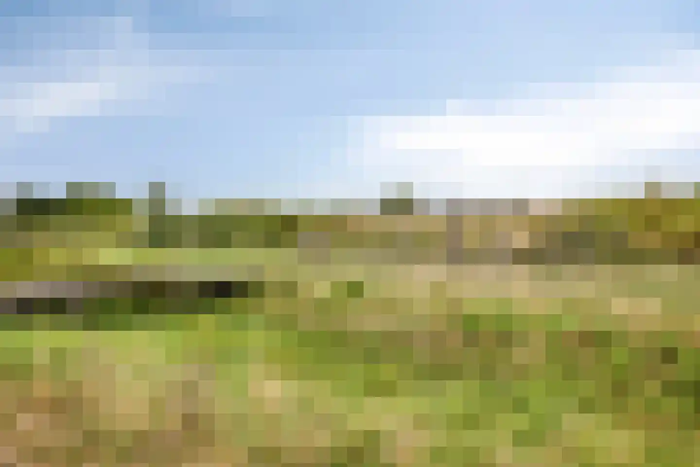 Het Hennennest 43 Doetinchem thumbnail 5