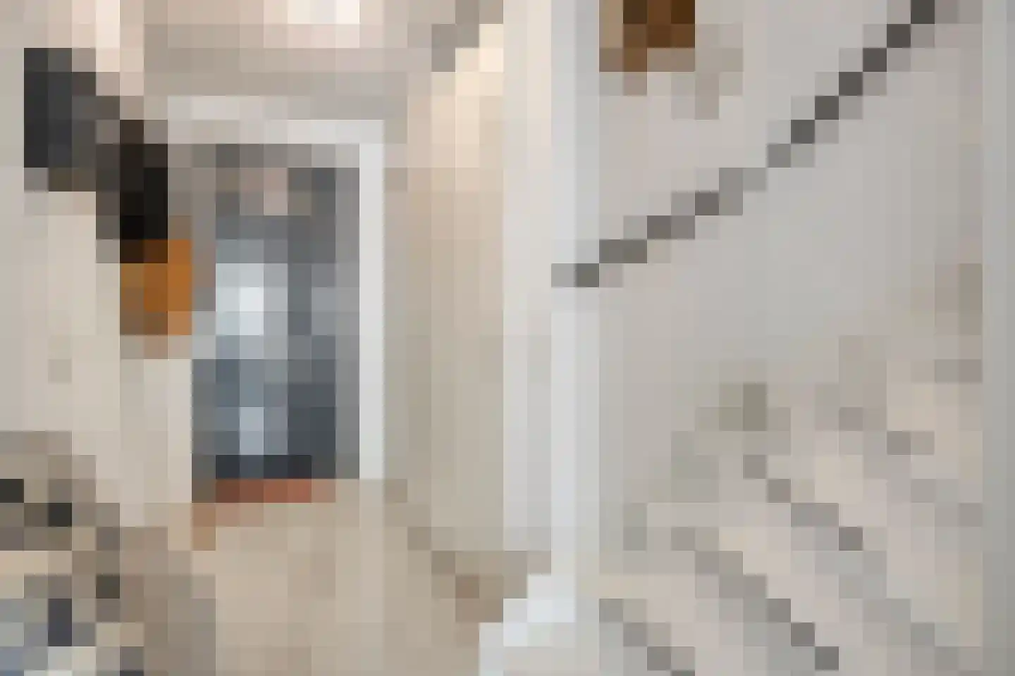 Het Hennennest 43 Doetinchem thumbnail 7