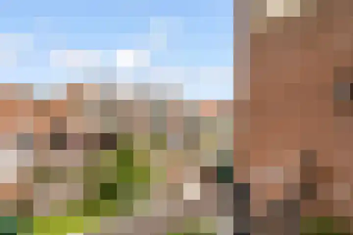 Het Heydenrijck 103 Groenlo thumbnail 15