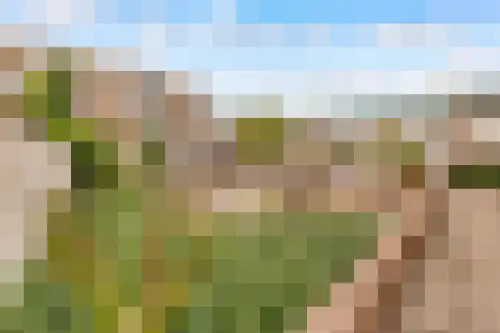 Het Heydenrijck 103 Groenlo thumbnail 37