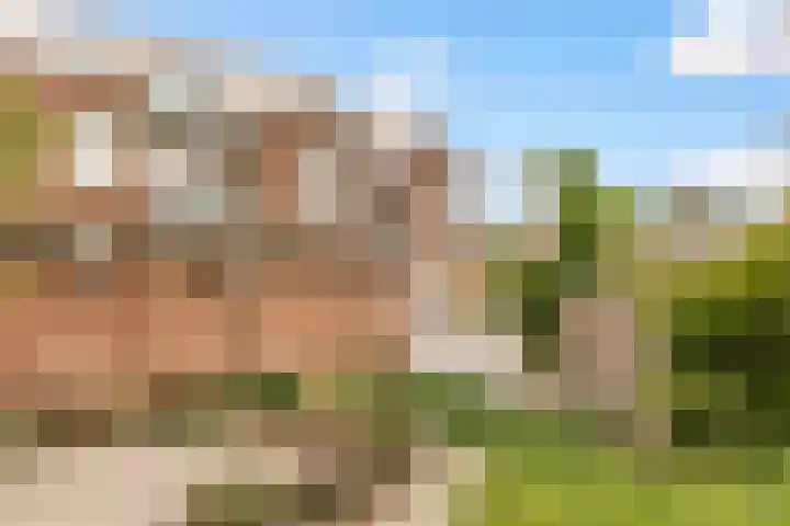 Het Heydenrijck 103 Groenlo thumbnail 39