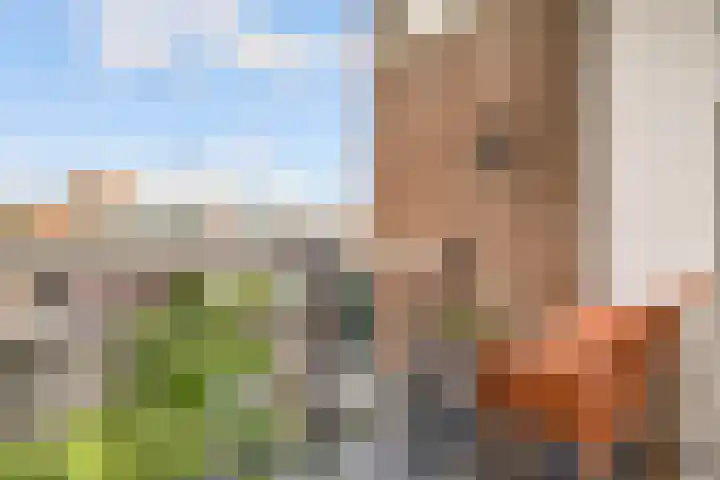 Het Heydenrijck 103 Groenlo thumbnail 4
