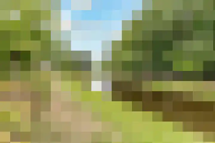 Het Heydenrijck 103 Groenlo thumbnail 41