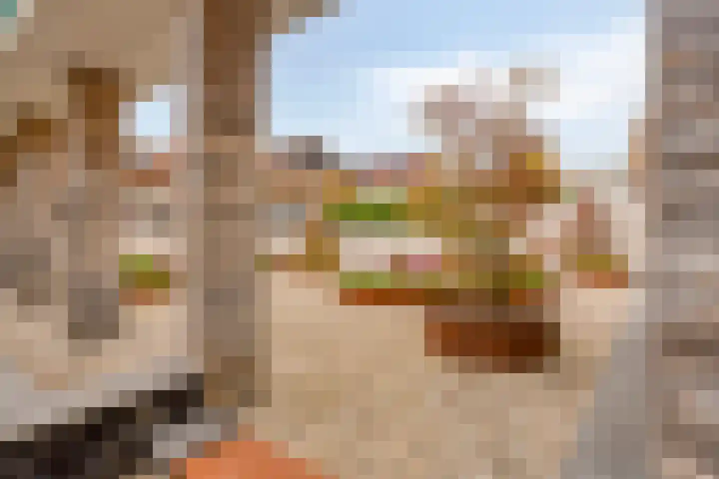 Het Heydenrijck 108 Groenlo thumbnail 17