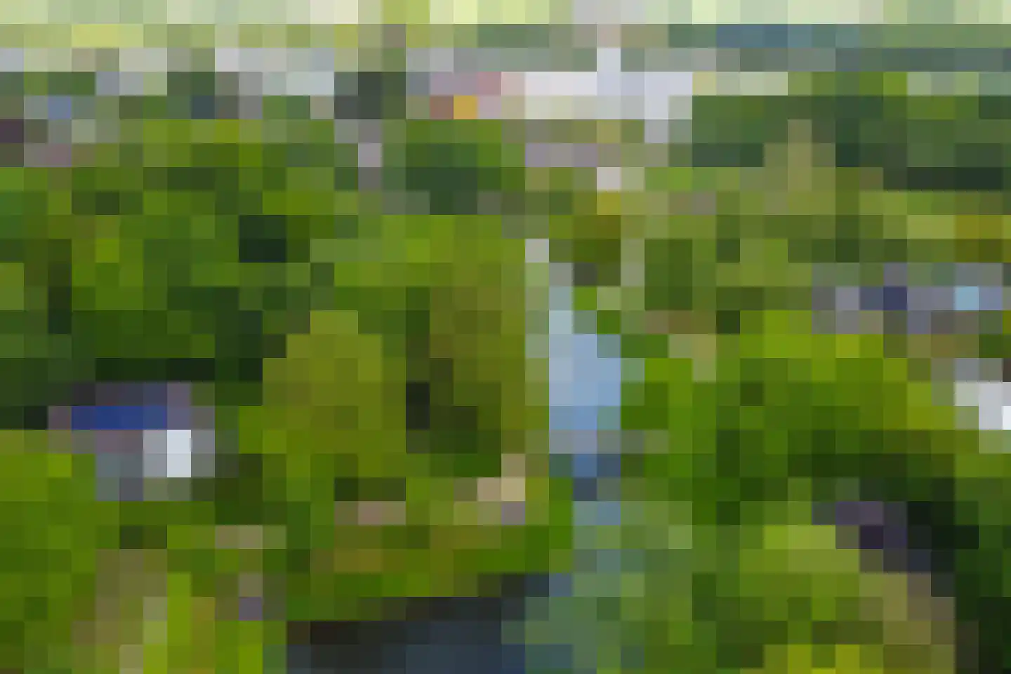 Het Heydenrijck 12 Groenlo thumbnail 27