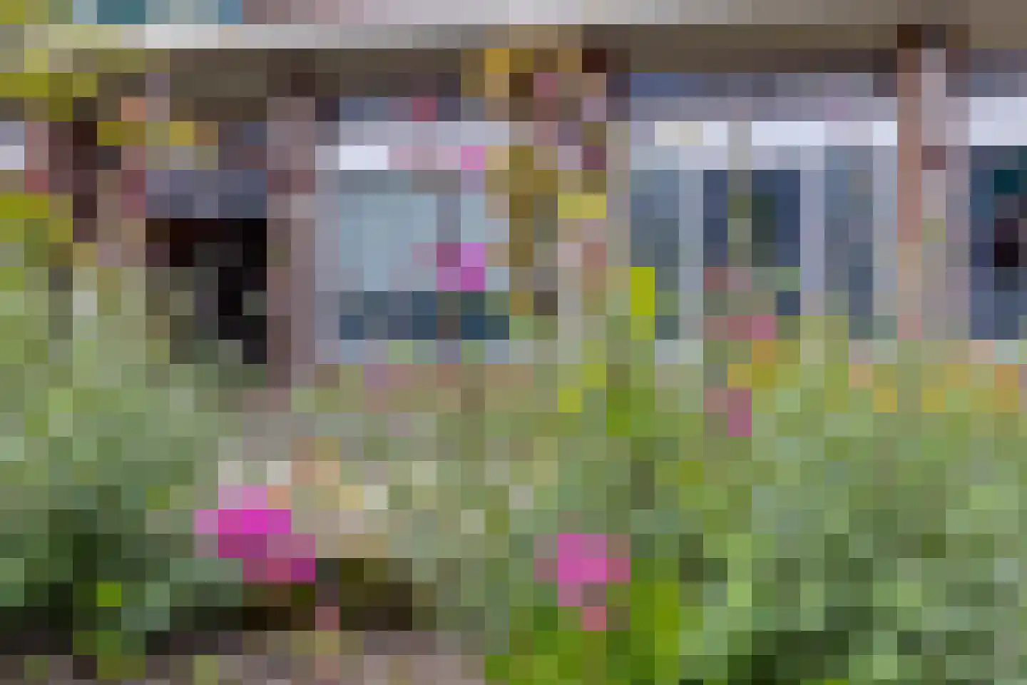 Het Heydenrijck 12 Groenlo thumbnail 4