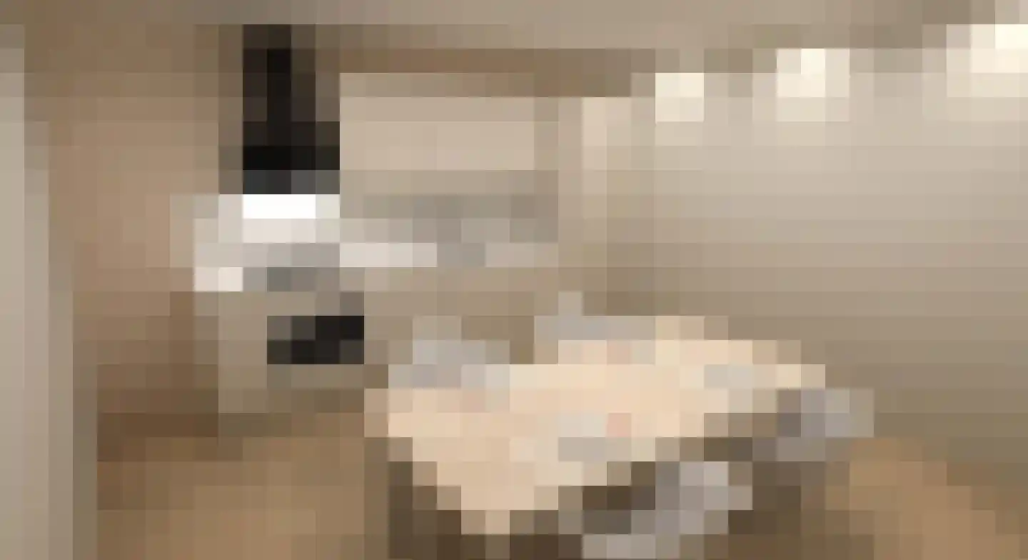 Het Heydenrijck 22 a Groenlo thumbnail 6